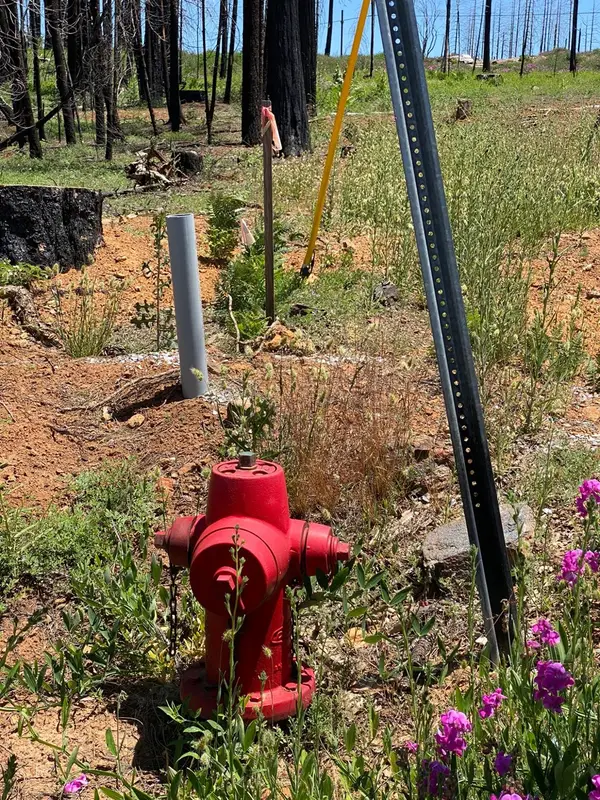 5202 Wooded Glen Road, Grizzly Flats, CA 95636