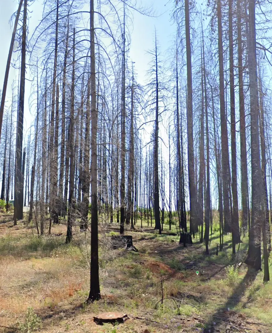 5202 Wooded Glen Road, Grizzly Flats, CA 95636 - Image #3