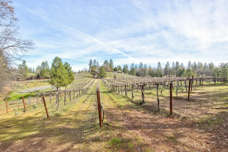 4771 Greenhills Road, Placerville, CA 95667 - Image #3