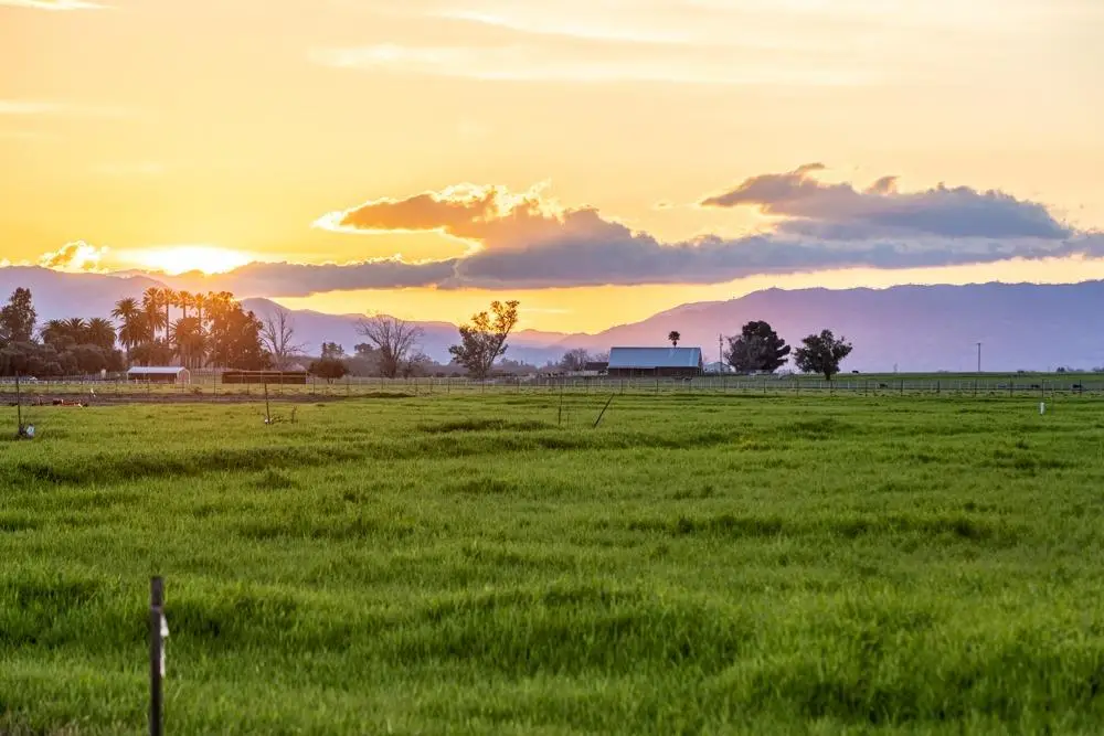 27150 Pierce Ranch Road, Davis, CA 95616 - #1