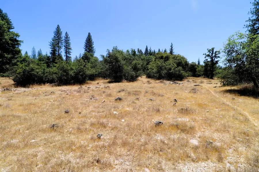 1402 Meredith Lane, Rail Road Flat, CA 95248 - Image #2