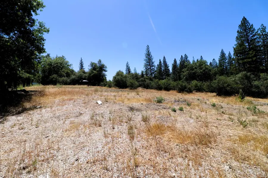 1402 Meredith Lane, Rail Road Flat, CA 95248 - Image #3