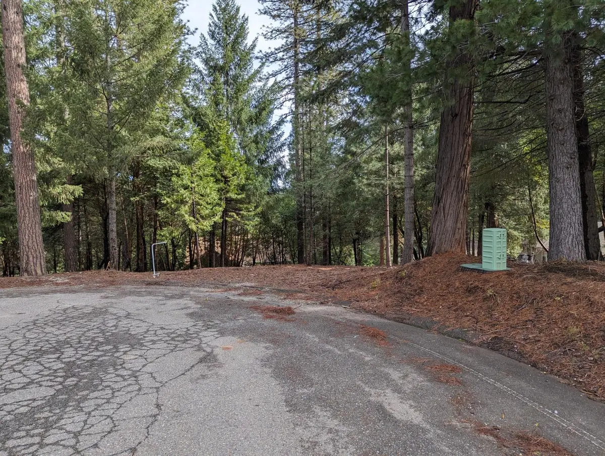 16930 Fairview Court, Pioneer, CA 95666 - Image #1