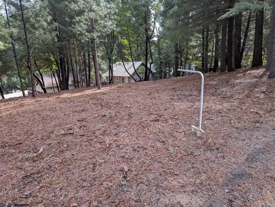 16930 Fairview Court, Pioneer, CA 95666 - Image #2