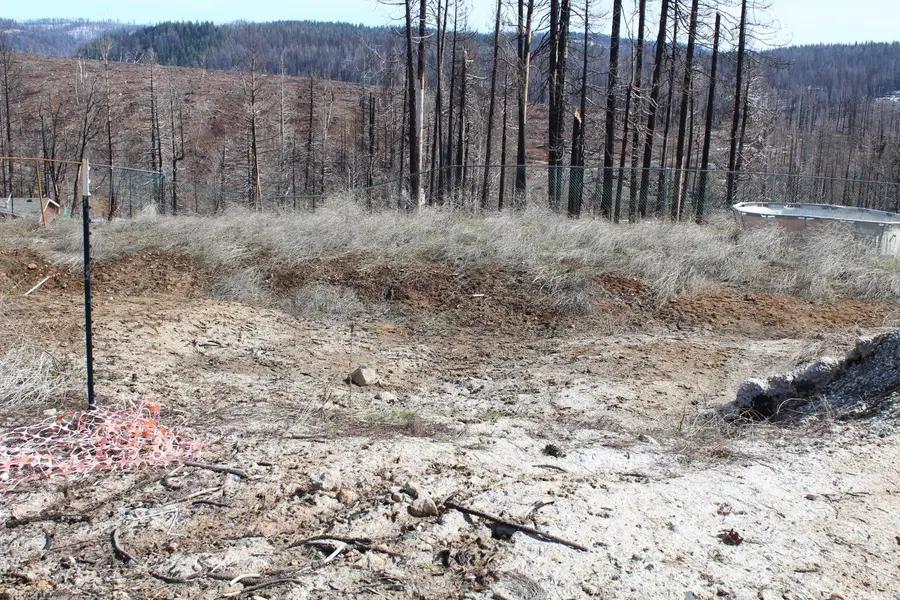 4944 Deerwood Drive, Grizzly Flats, CA 95636 - Image #3