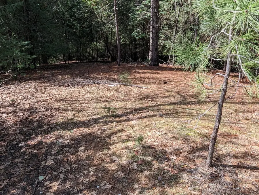 25492 E Meadow Drive, Pioneer, CA 95666 - Image #2