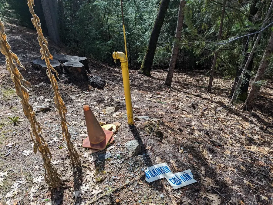 25492 E Meadow Drive, Pioneer, CA 95666 - Image #3