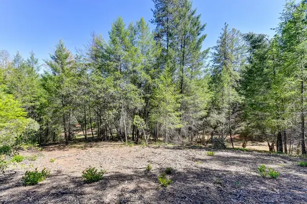 2000 Ponderosa Way, Weimar, CA 95713