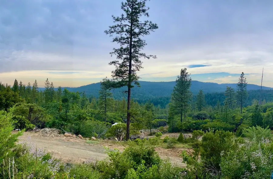 16275 Wildrose Way, Brownsville, CA 95919 - Image #2