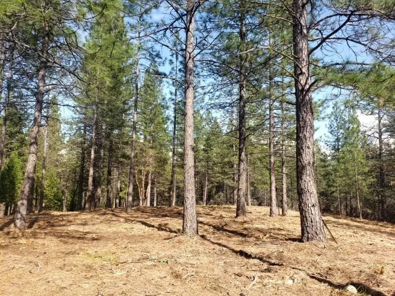 0 Harkness Street, Georgetown, CA 95634 - Image #1