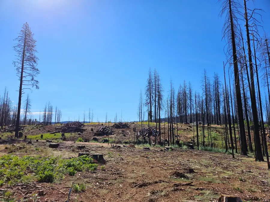 5144 String Canyon Court, Grizzly Flats, CA 95636 - Image #2