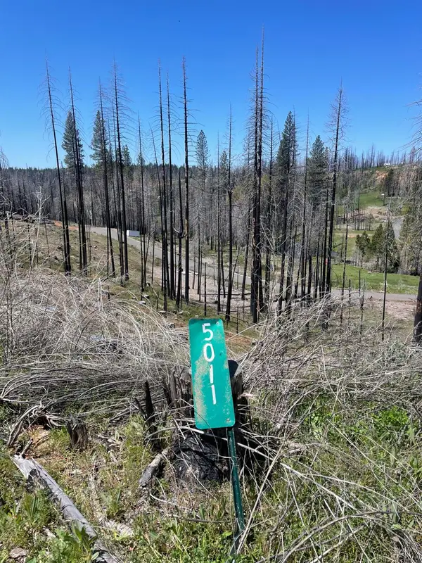 5011 Storybook Court, Grizzly Flats, CA 95636