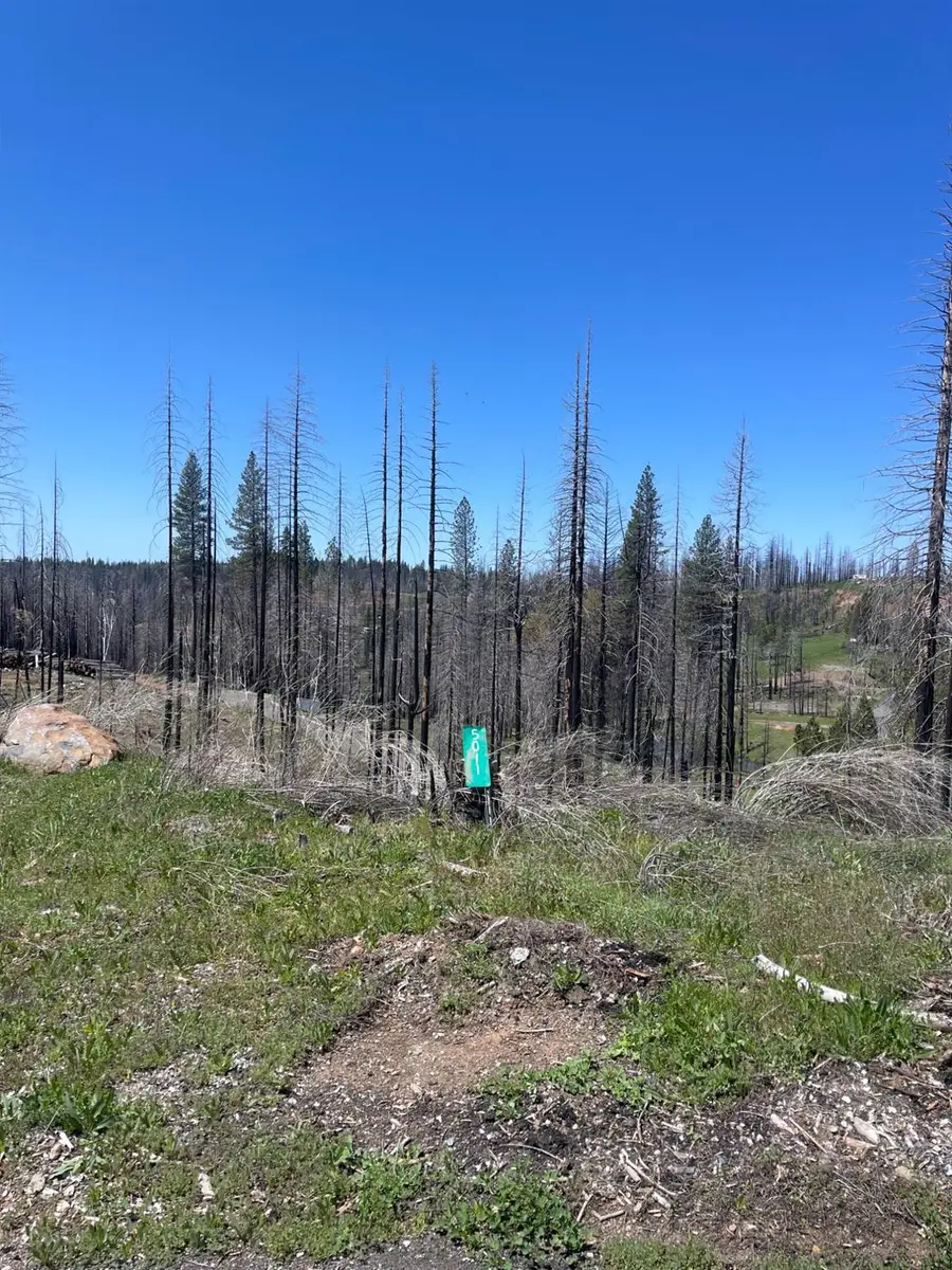 5011 Storybook Court, Grizzly Flats, CA 95636 - Image #2