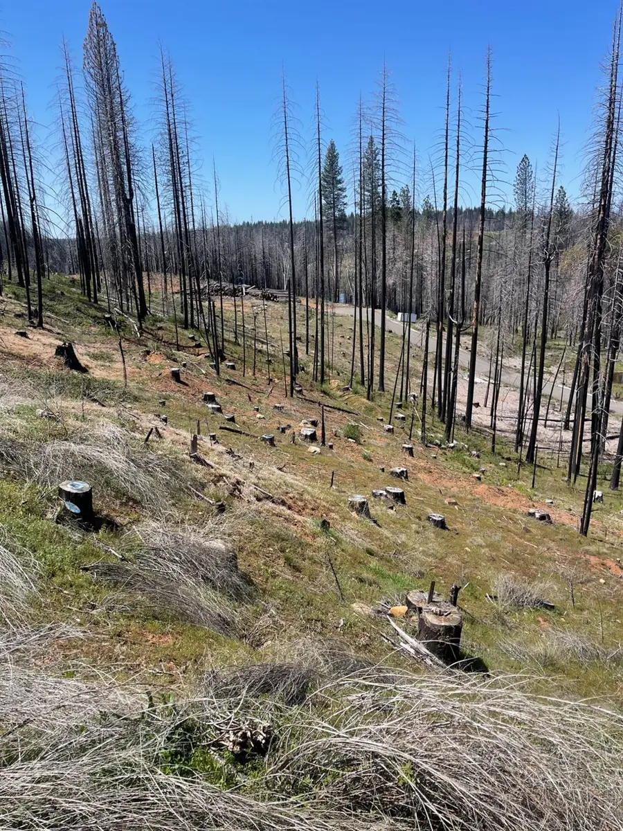 5011 Storybook Court, Grizzly Flats, CA 95636 - Image #3