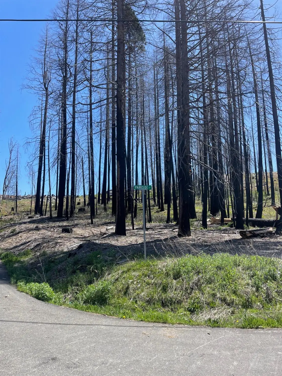 5106 Parkside Drive, Grizzly Flats, CA 95636 - Image #1