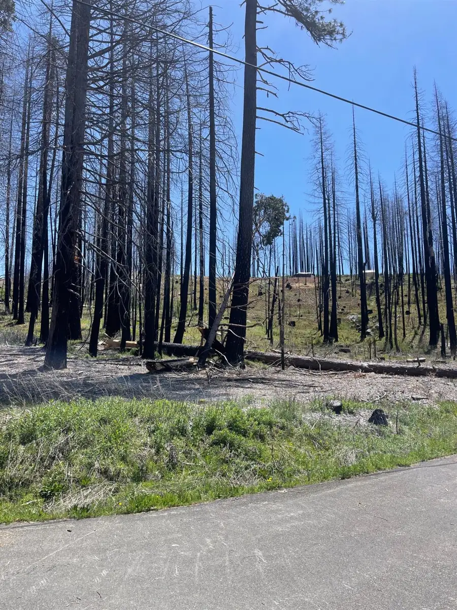 5106 Parkside Drive, Grizzly Flats, CA 95636 - Image #2