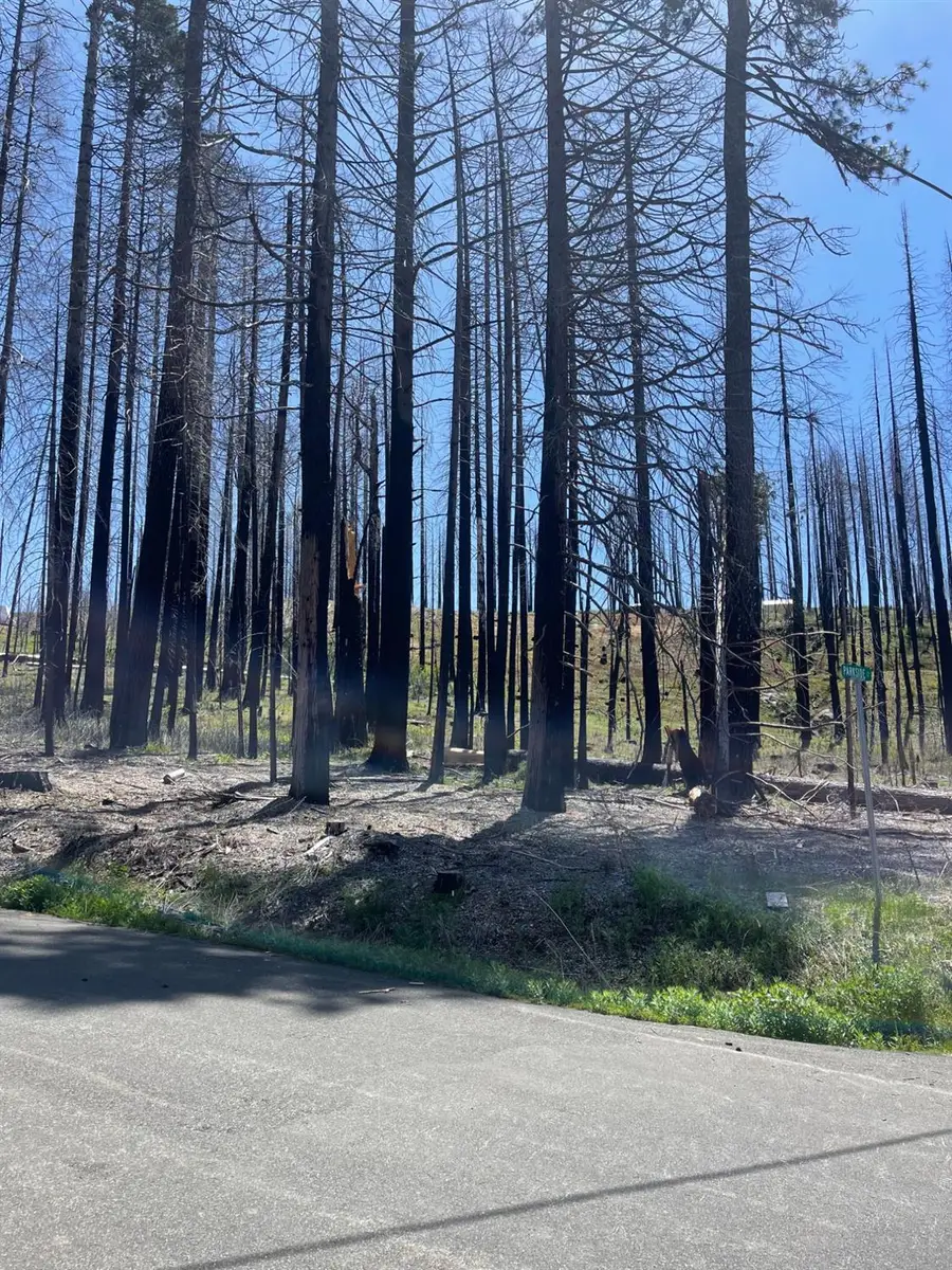 5106 Parkside Drive, Grizzly Flats, CA 95636 - Image #3