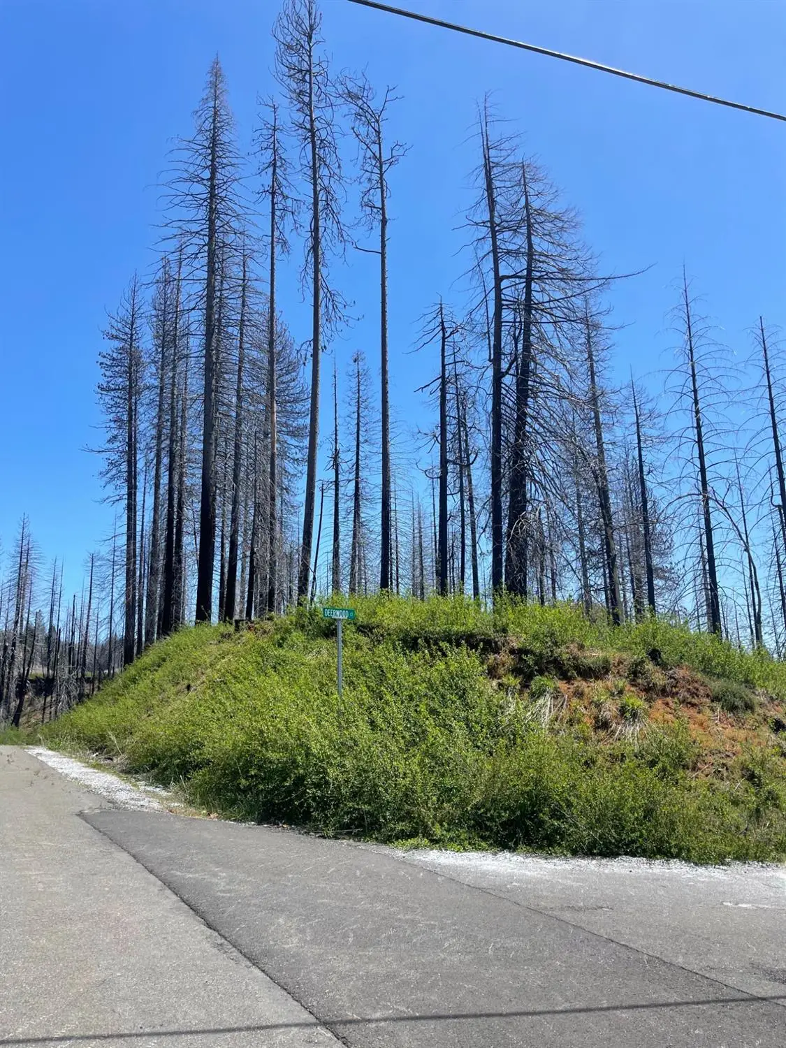 4905 Deerwood Court, Grizzly Flats, CA 95636 - Image #1