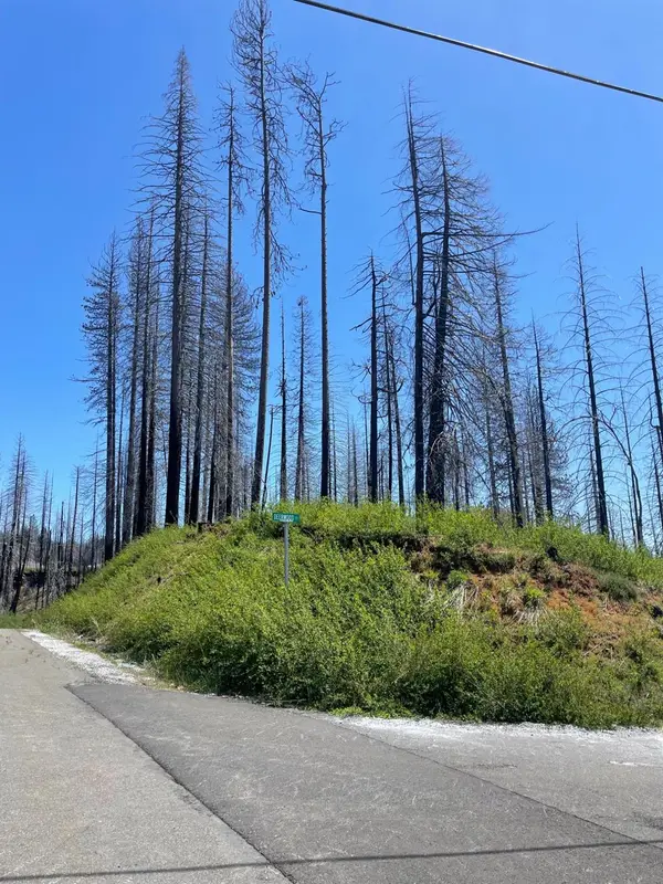 4905 Deerwood Court, Grizzly Flats, CA 95636