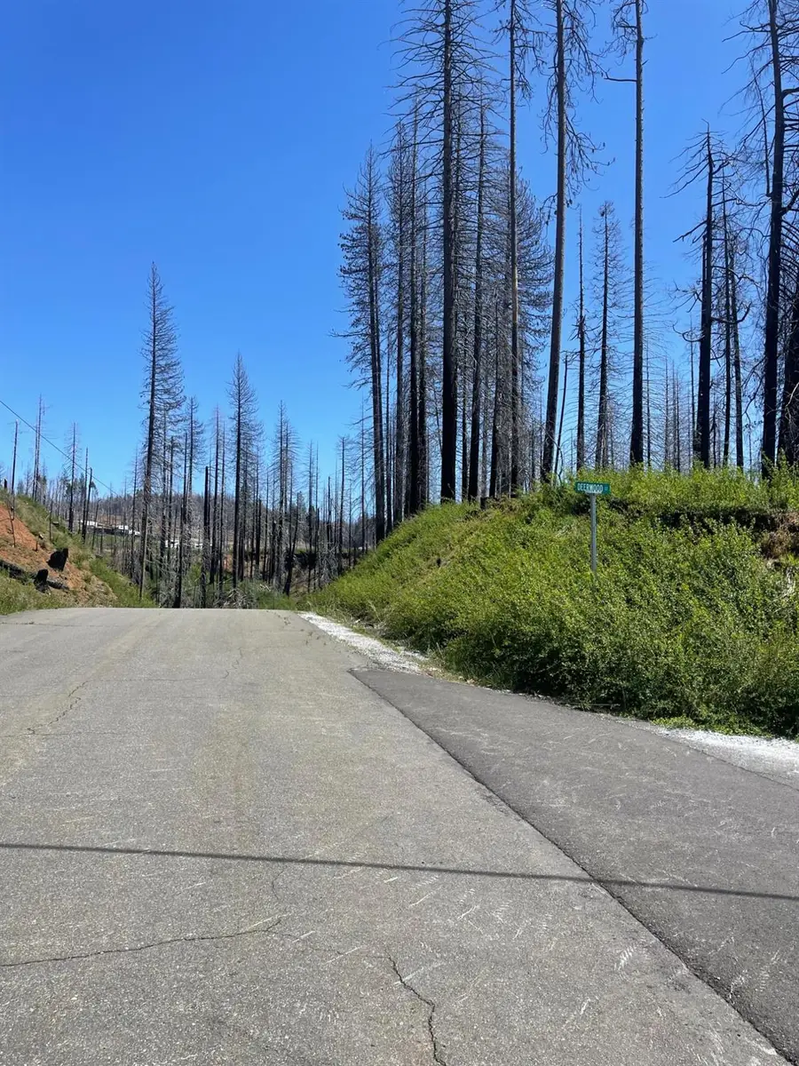 4905 Deerwood Court, Grizzly Flats, CA 95636 - Image #2