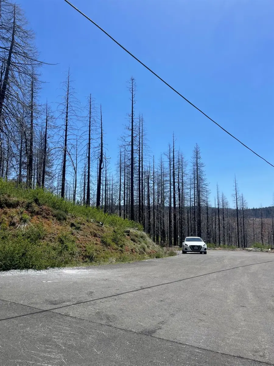 4905 Deerwood Court, Grizzly Flats, CA 95636 - Image #3