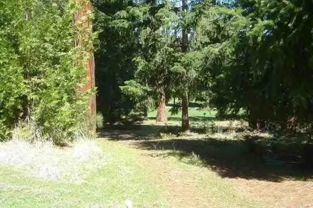 26441 Golf Links Drive, Pioneer, CA 95666 - Image #1