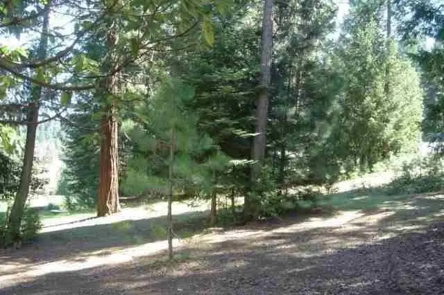 26441 Golf Links Drive, Pioneer, CA 95666 - Image #2