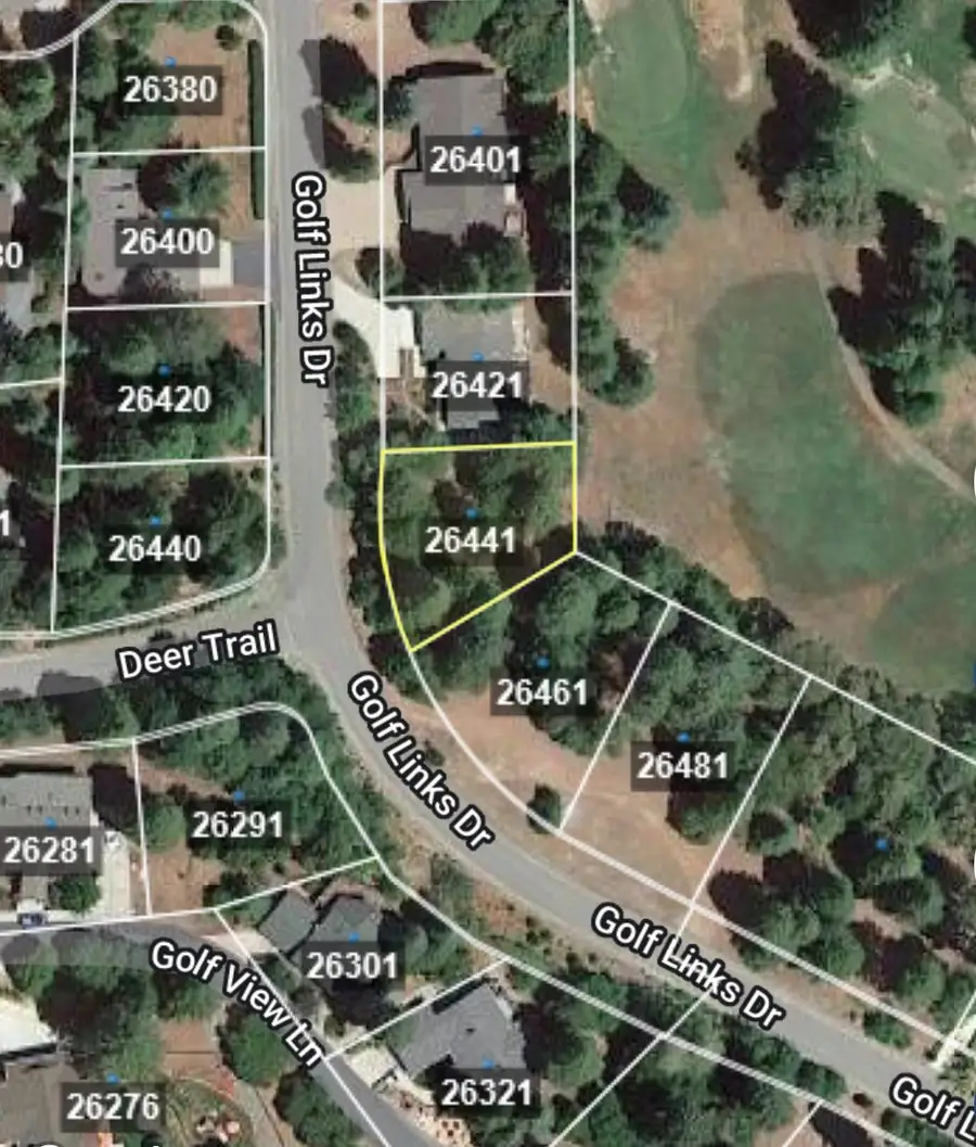 26441 Golf Links Drive, Pioneer, CA 95666 - Image #3