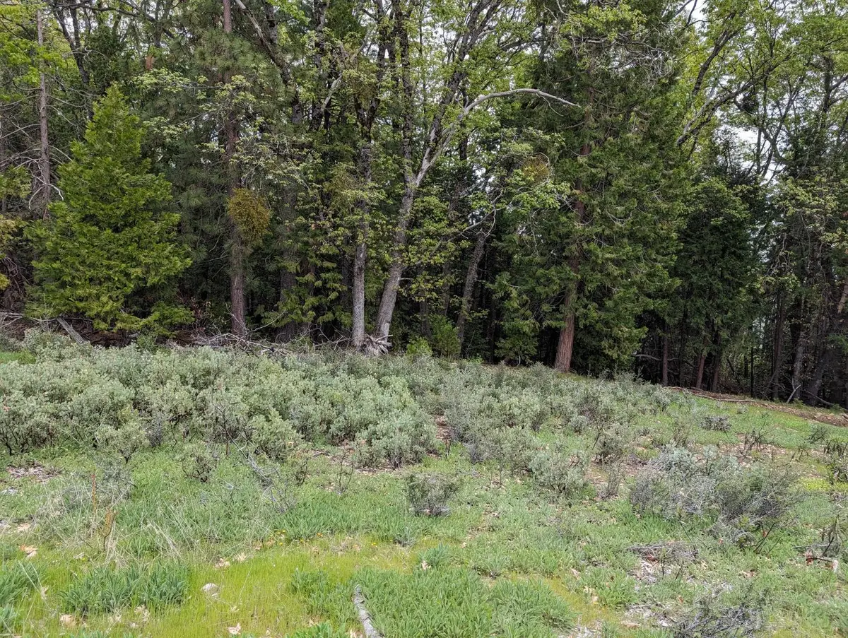 16805 Jones Ridge Road, Grass Valley, CA 95945 - Image #1