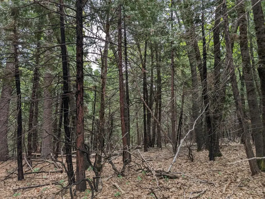 16805 Jones Ridge Road, Grass Valley, CA 95945 - Image #3