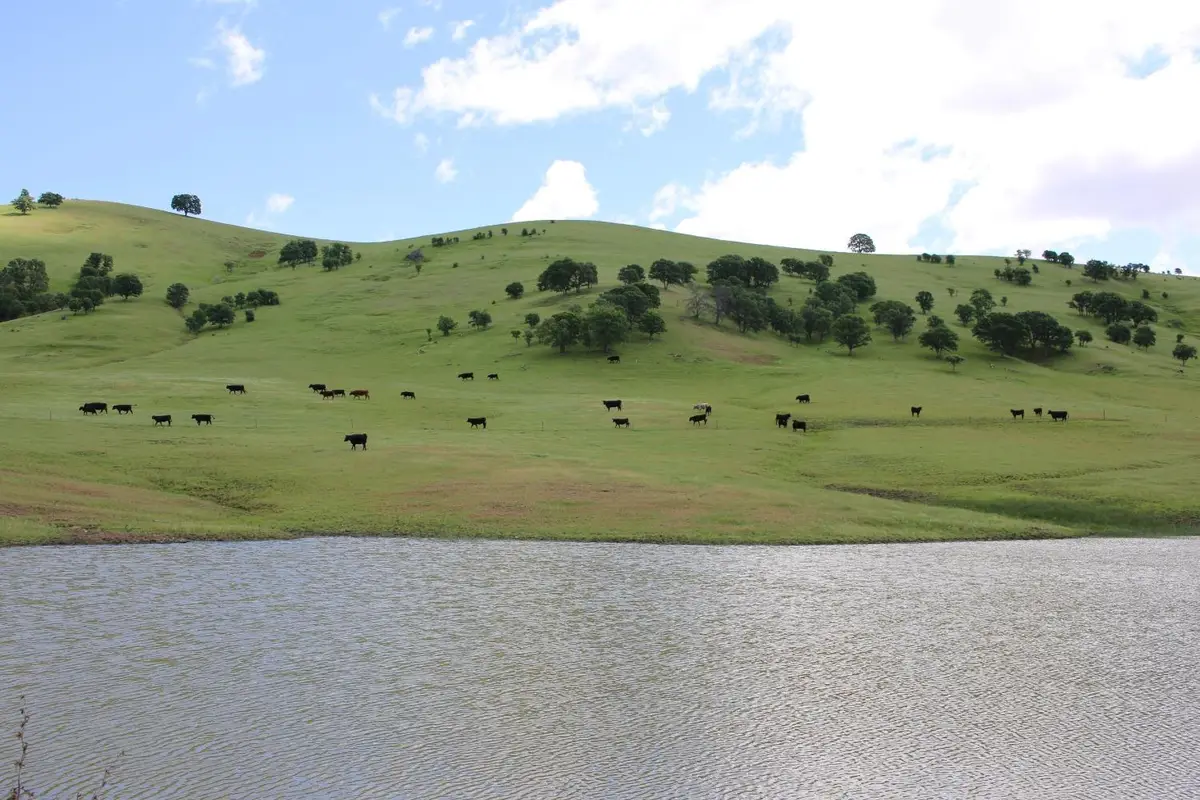 0 Highway 20, Williams, CA 95987 - Image #1