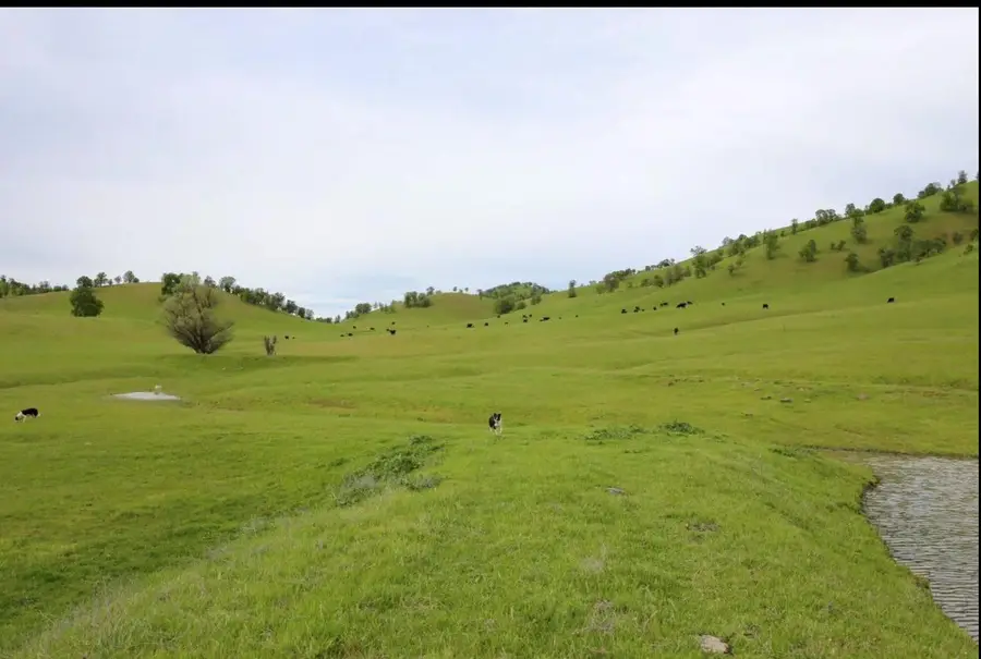 0 Highway 20, Williams, CA 95987 - Image #2