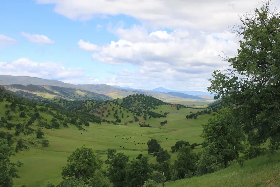 0 Highway 20, Williams, CA 95987 - Image #3