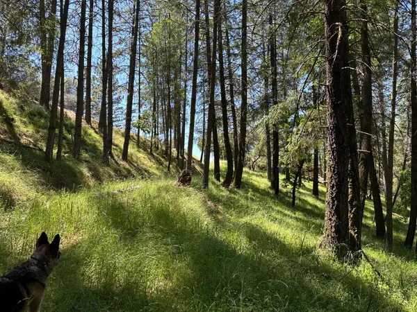 2663 Sweetwater Trail Trail, Cool, CA 95614