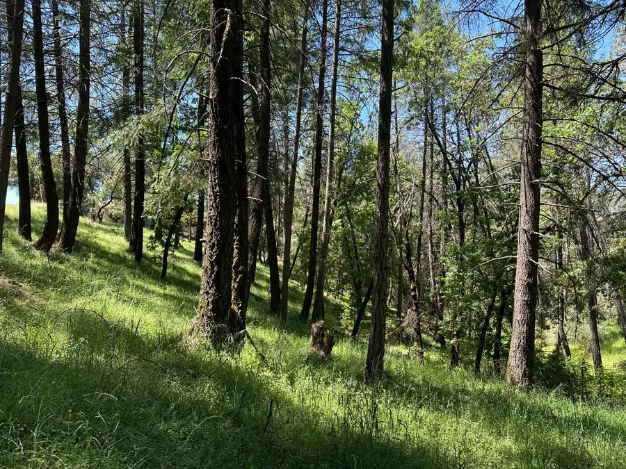 2663 Sweetwater Trail Trail, Cool, CA 95614 - Image #2