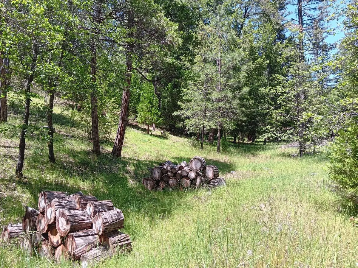 4121 Sierra Springs Drive, Pollock Pines, CA 95726 - #1