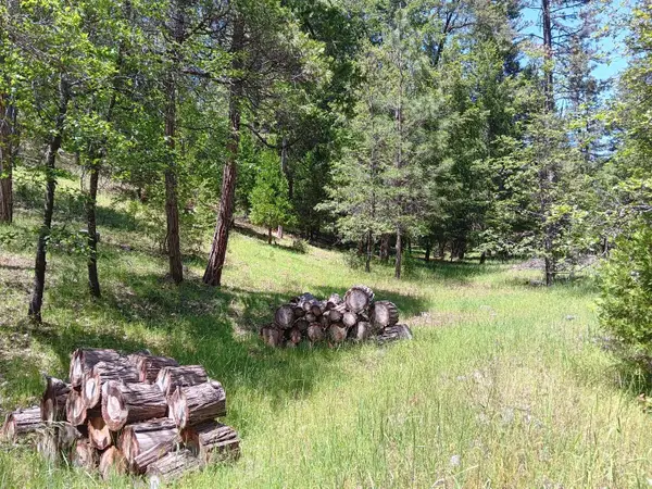 4121 Sierra Springs Drive, Pollock Pines, CA 95726