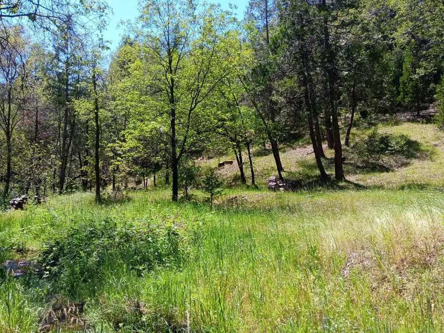 4121 Sierra Springs Drive, Pollock Pines, CA 95726 - #2