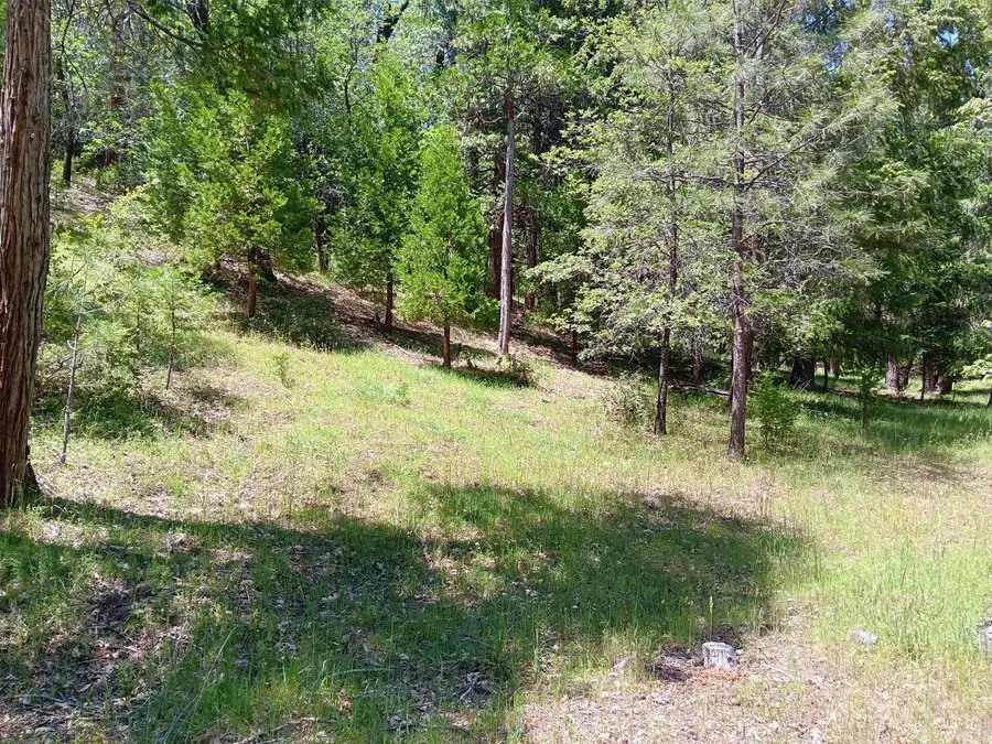 4121 Sierra Springs Drive, Pollock Pines, CA 95726 - #3