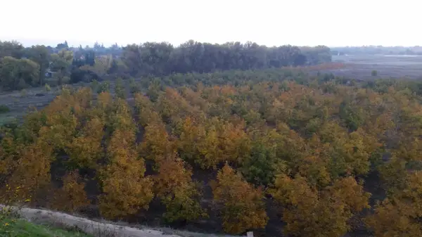 0 Jackson Road, Oakdale, CA 95361