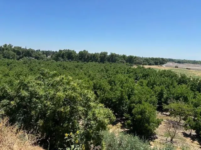 0 Jackson Road, Oakdale, CA 95361 - Image #2