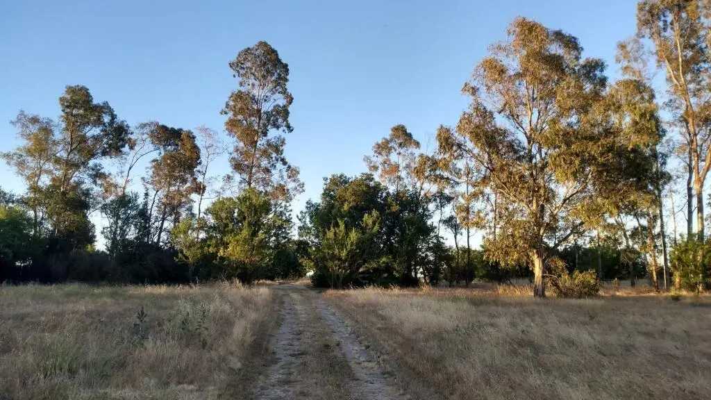 10076 Florin Road, Sacramento, CA 95829 - Image #1