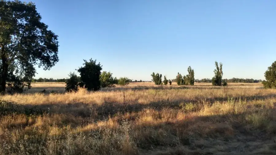 10076 Florin Road, Sacramento, CA 95829 - Image #2