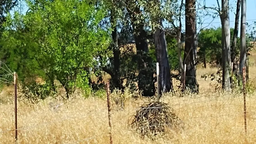 10076 Florin Road, Sacramento, CA 95829 - Image #3