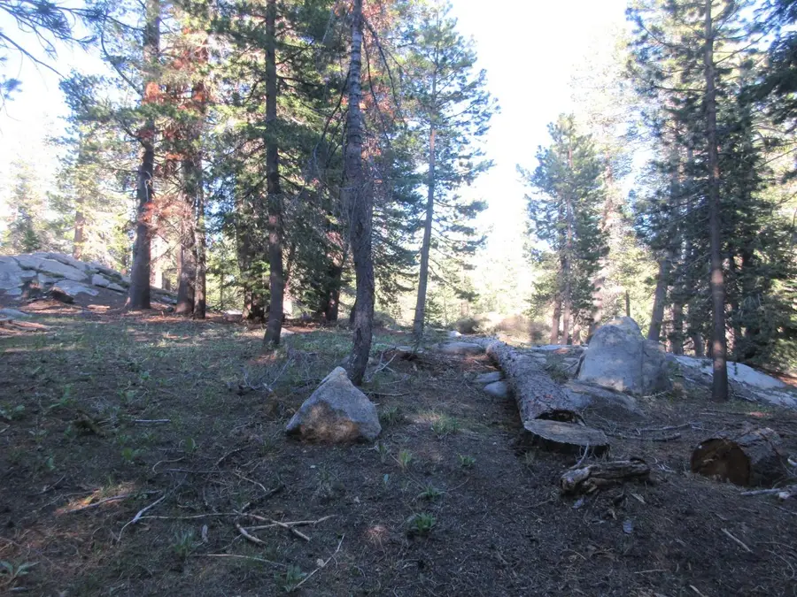 175 Silver Tip Drive, Bear Valley, CA 95223 - Image #2