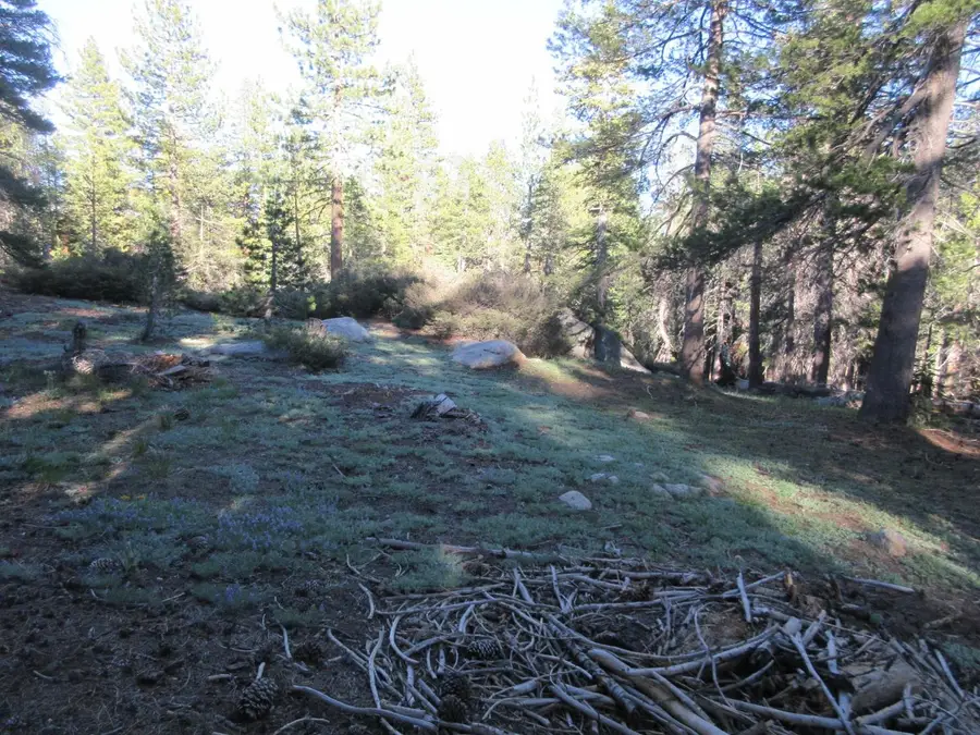 175 Silver Tip Drive, Bear Valley, CA 95223 - Image #3