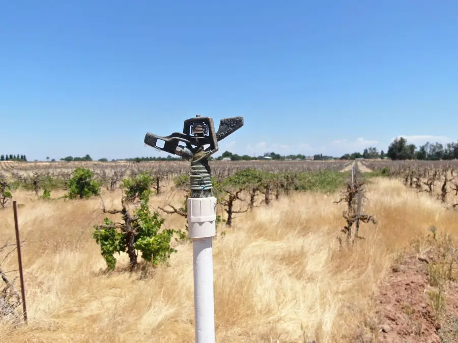 11501 E Jahant Road, Acampo, CA 95220 - Image #3