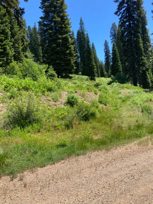 325 Norton Meadows Rd., Bucks Lake, CA 95971