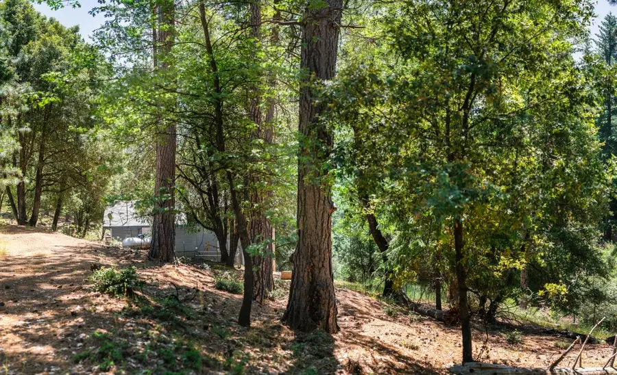 0 Cedarwood Lane, Placerville, CA 95667 - Image #2