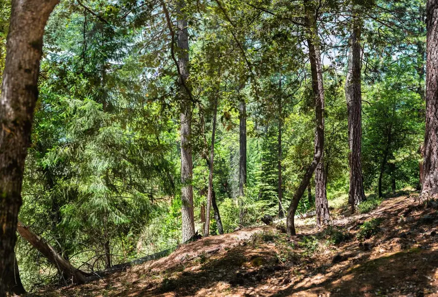 0 Cedarwood Lane, Placerville, CA 95667 - Image #3